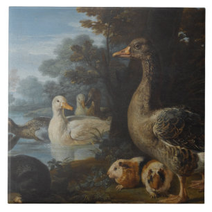 Patos-Guiné e um coelho em uma paisagem florestal