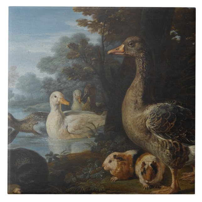 Patos-Guiné e um coelho em uma Paisagem Wooded (Frente)