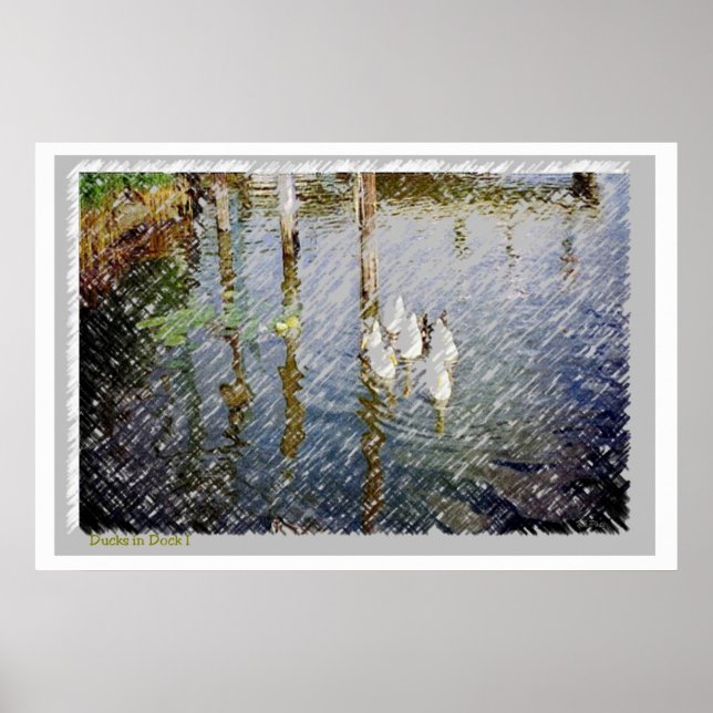 Patos Impressão de Aquarela (Frente)