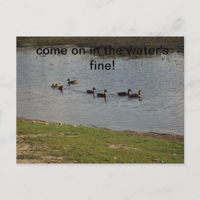 Patos na água Convite (Frente)