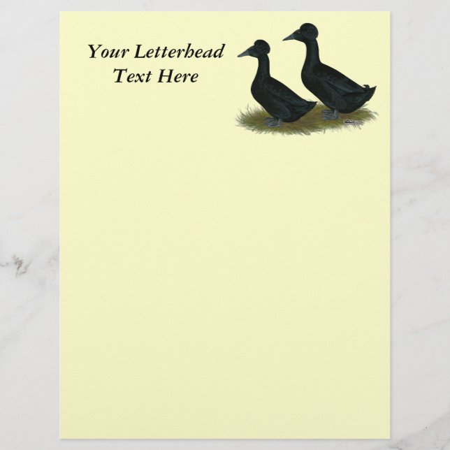 Patos: Preto Detido (Frente)