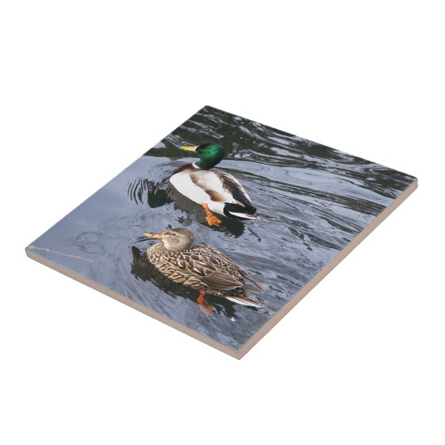 Patos selvagens (Lateral)
