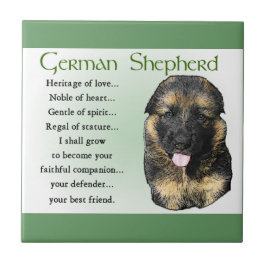 Patrimônio german shepherd do Amor