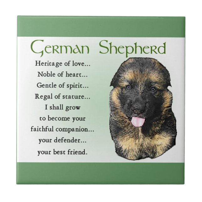 Patrimônio german shepherd do Amor (Frente)