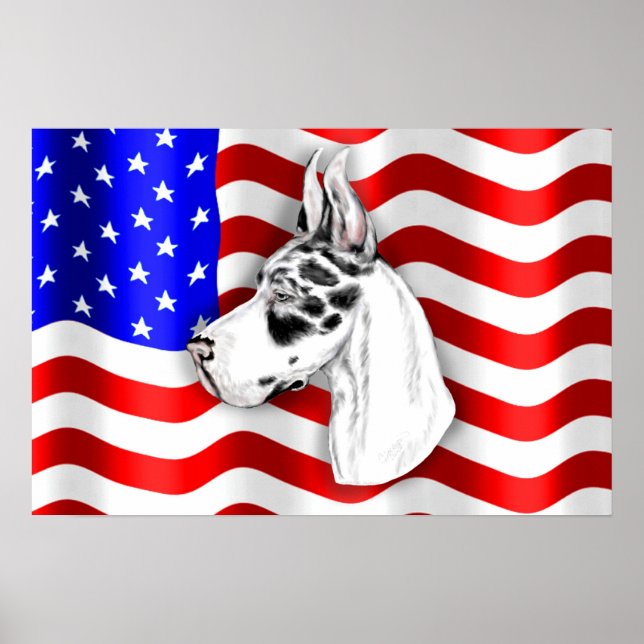 Patriot Dane Harle Poster (Frente)