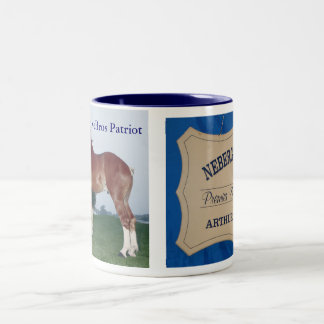 Patriota de NeBros & caneca do sinal