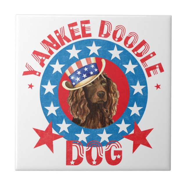 Patriotic Boykin Spaniel (Frente)