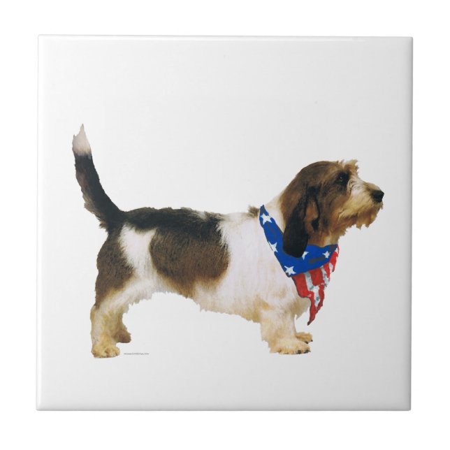 Patriótico Petit Basset Griffon Vendeen (Frente)