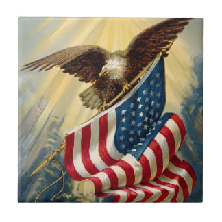 Patriotismo Vintage, Bandeira Americana Águia Patr