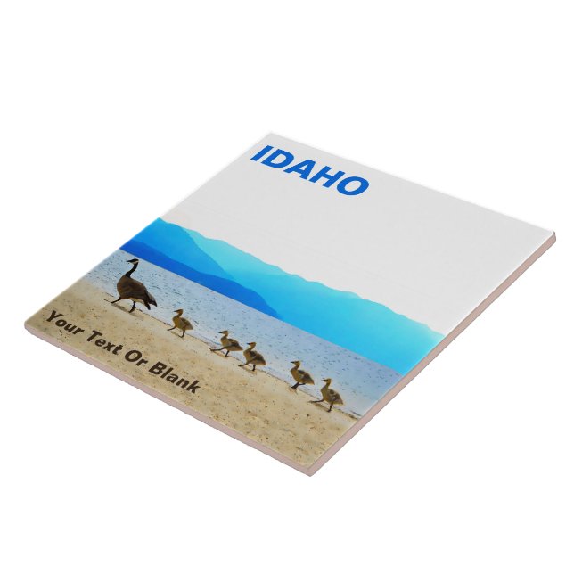 Patrulha de Shore - Canadá Geese (Lateral)