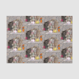 Patton e Buffing - Papel Tecido de Gato