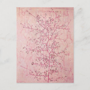 Paul Klee - Cartão Postal da Primavera Rosa no Inv