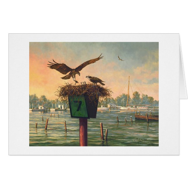 Paul McGehee "domingo de manhã" cartão (Frente horizontal)