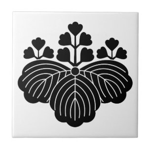 Paulownia com 5/3 flores