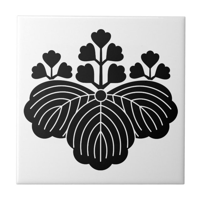 Paulownia com 5/3 flores (Frente)