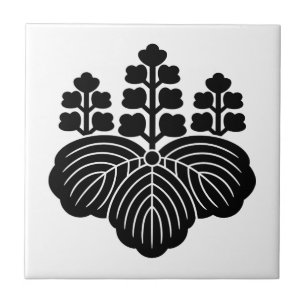 Paulownia com 5-7 flores