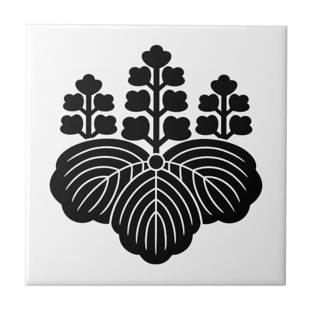 Paulownia com 5-7 flores (Frente)