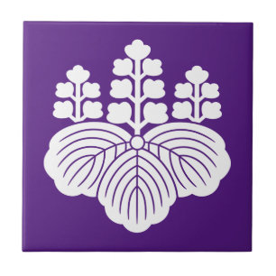 Paulownia com 5-7 florescências