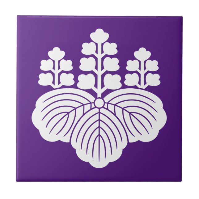 Paulownia com 5-7 florescências (Frente)