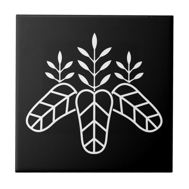 Paulownia do Taiko (Frente)