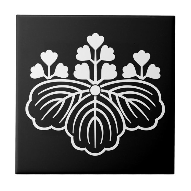 Paulownia sombreada com florações 5&3 (Frente)