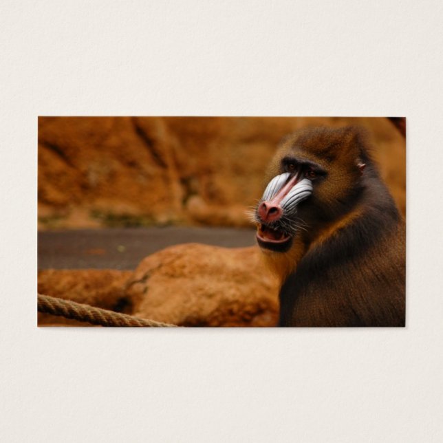 Pava/Baboon (Frente)