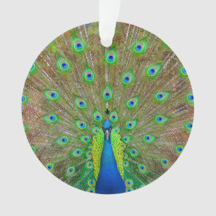 Pavão Azul nº 3 Ornamento