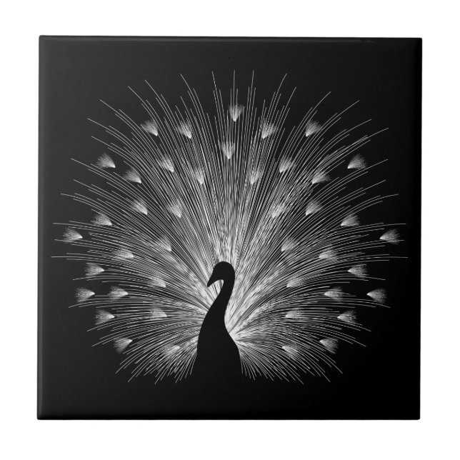 Pavão branco (Frente)