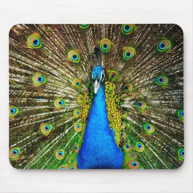 Pavão Mousepad (Frente)