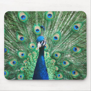 Pavão Mousepad