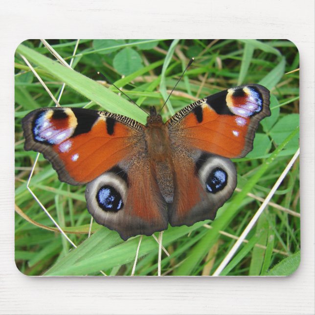 Pavão Mousepad (Frente)