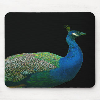 Pavão Mousepad