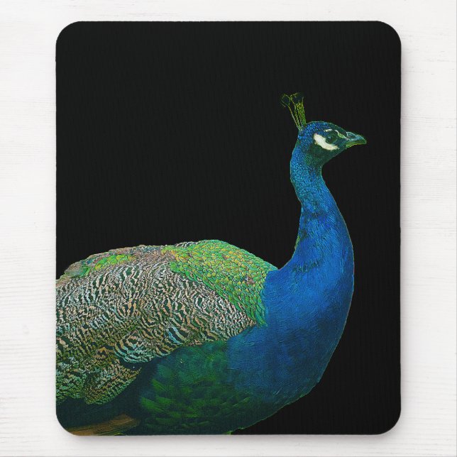 Pavão Mousepad (Frente)