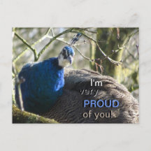 Pavão na árvore orgulhosa de você! Cartão Postal