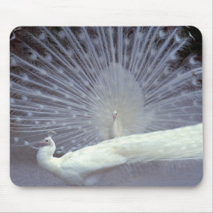 Pavões brancos Mousepad