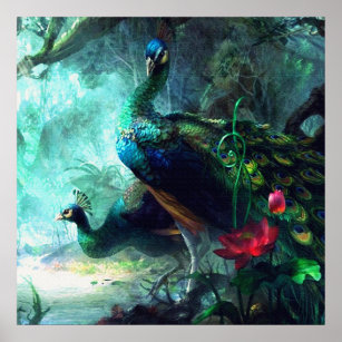 Pavões coloridos na Poster da floresta nebulosa