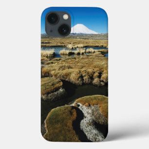 Payachalas Volcanos