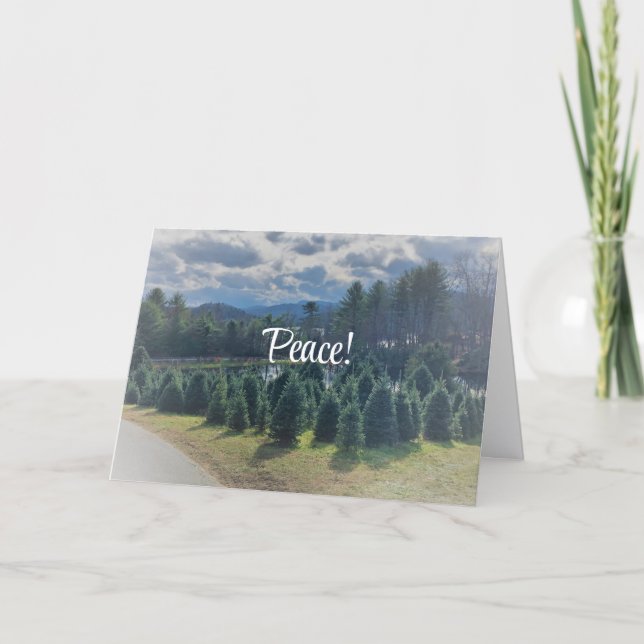 Paz, Cartão de Saudação de Natal Dobrado (Frente)