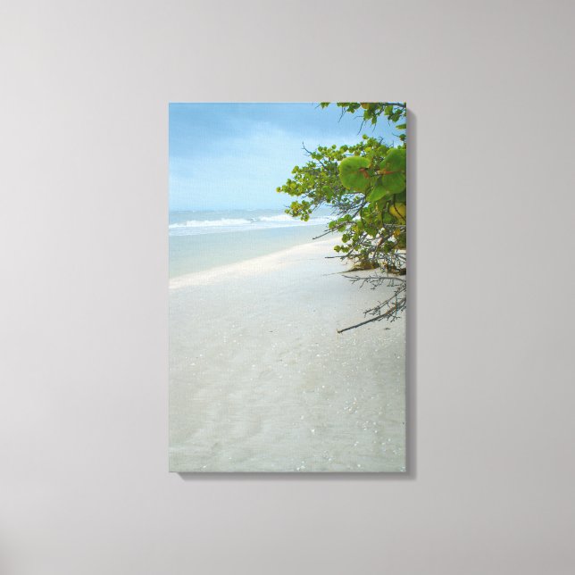 Paz e Silêncio na Canvas da Ilha Sanibel (Frente)