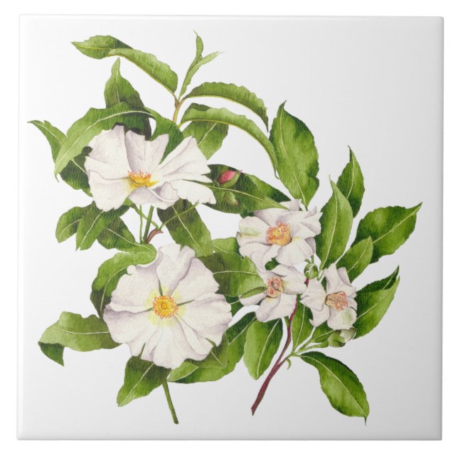 "Paz na Terra" num Azulejo cerâmico (Frente)