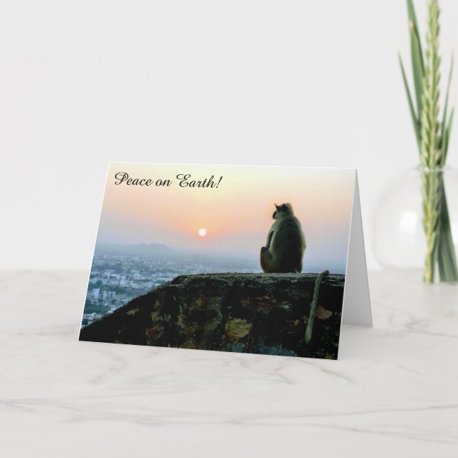 Paz no Macaco Terra no Cartão de Férias Sunset (Frente)