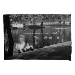 Pccnm de vida estacionada