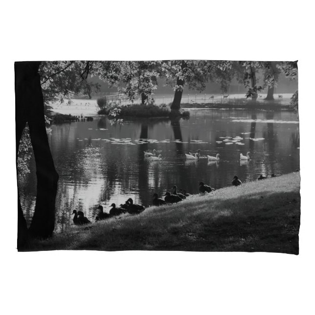 Pccnm de vida estacionada (Frente)