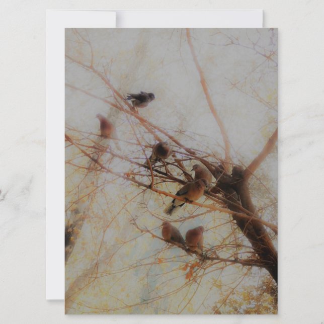 Peaceful Birds Flat Card (Frente)