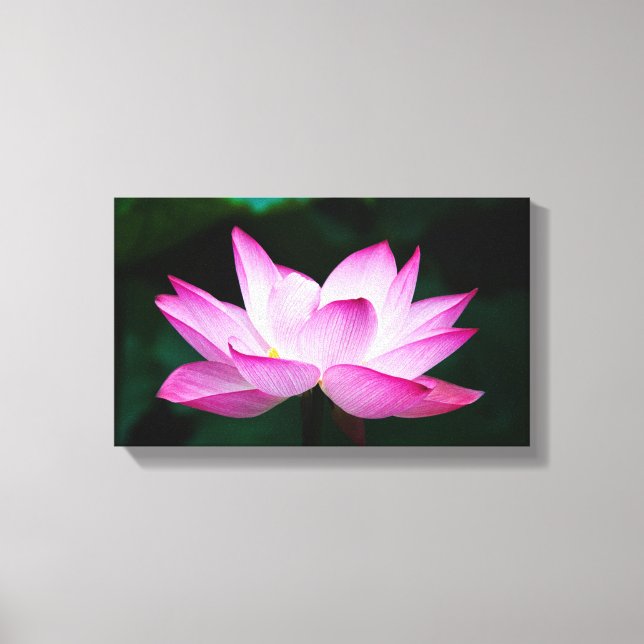 Peaceful Zen Lotus Flower Canvas Print (Frente)