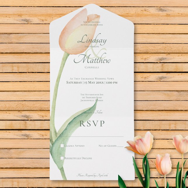 Peach Blush Tulip Solo Moderno Sem Janto (Peach Blush Tulip Solo Modern No Dinner All In One Invitation)