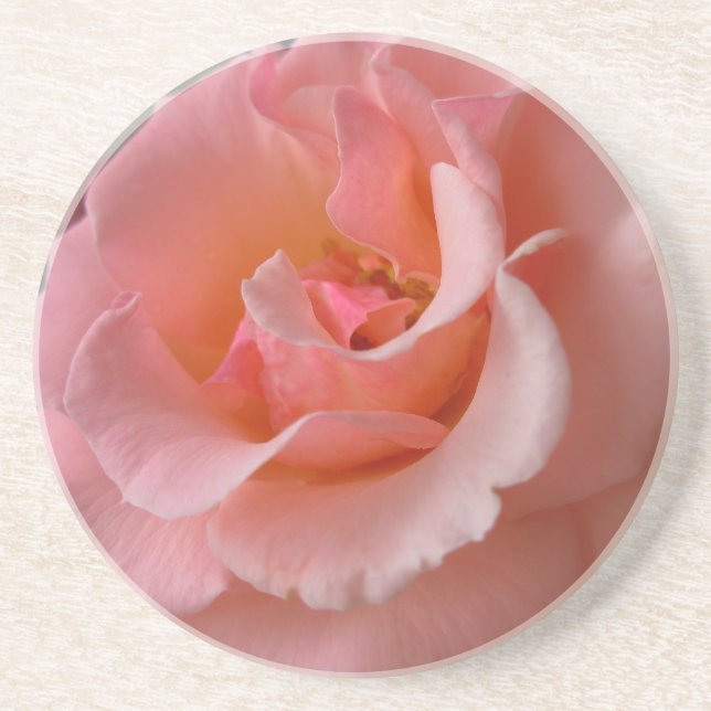 Peach Rosa Porta copos Wild Rosas Gifts Keepsaem D (Frente)