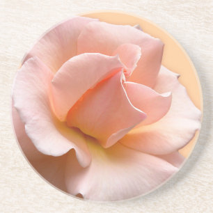 Peach Rosa Porta copos Wild Rosas Gifts Keepsaem D