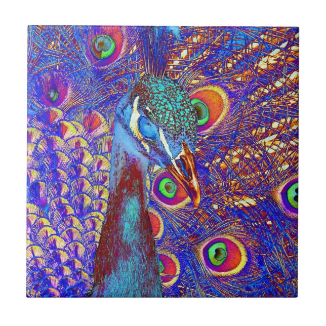 Peacock (Frente)