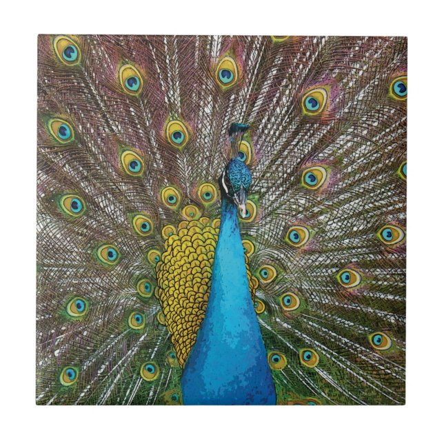 Peacock Art in Jewel Tone Colors (Frente)